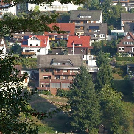 Haus Krick Apartment Alpirsbach Exterior photo